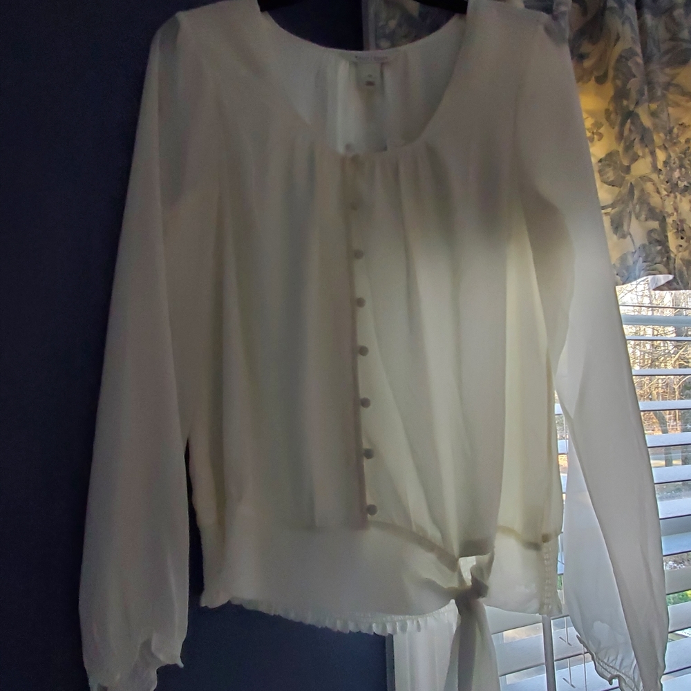 Semi sheer white house black market blouse - Picture 3 of 3